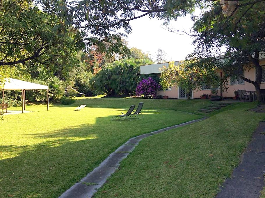 Giardino