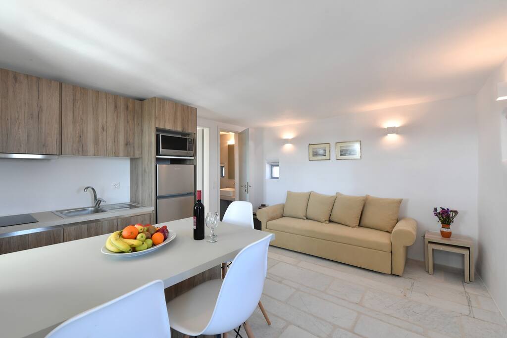 Kitchen and living room with sofa bed