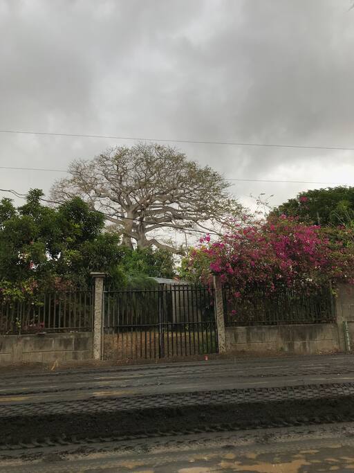 Vista del portón de acceso a la propiedad desde la carretera.