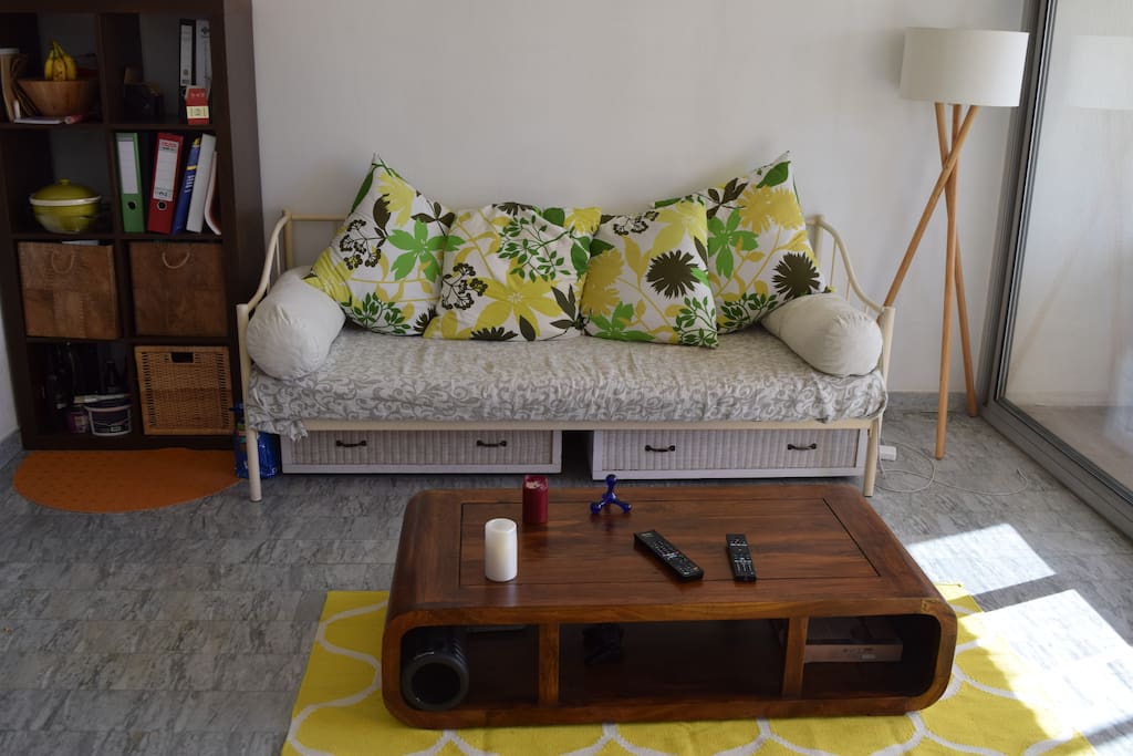 Living room couch