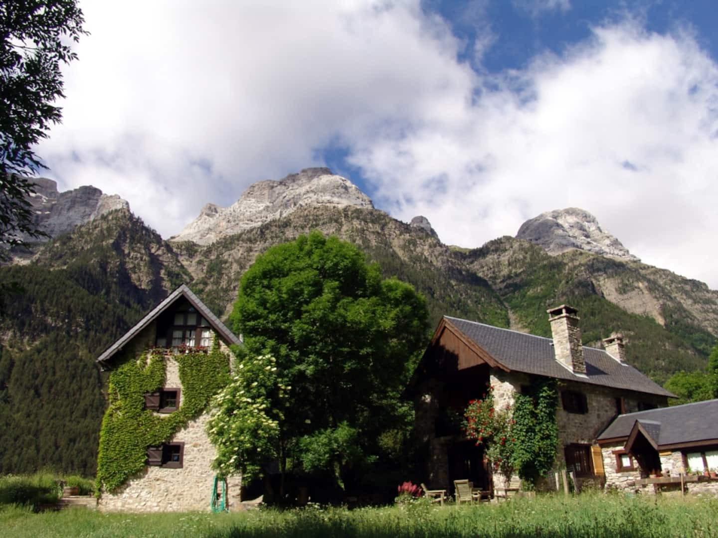 Apartamentos en Bielsa y más | cozycozy