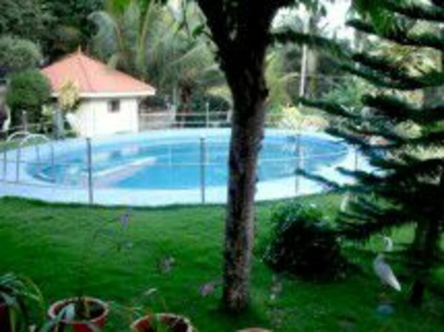 Swimming pool and landscape