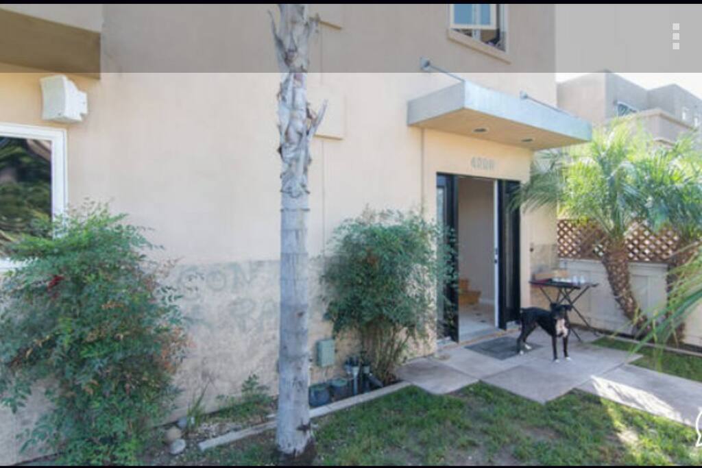 This is the outside of the house. If you are lucky, you will meet Shadow (the black dog). She's the boss.