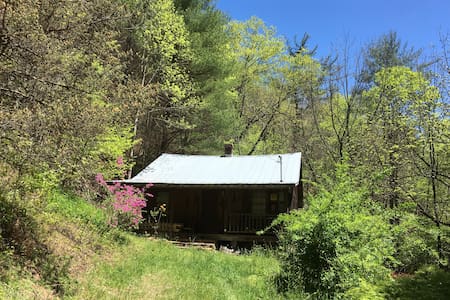 Remote Mountain Cabin in the Woods