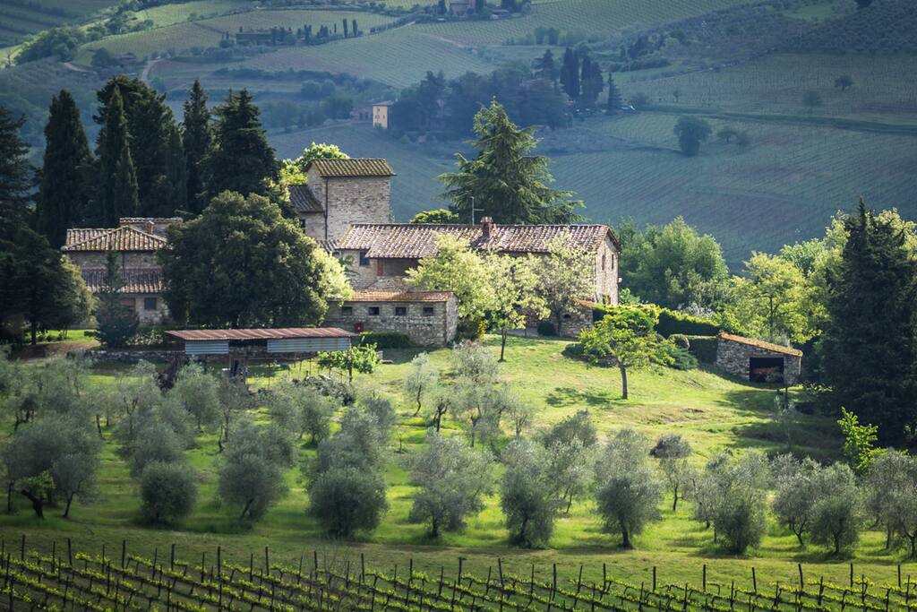 Follow us on Instagram : www.picbear.com/massetoinchianti and Facebook : www.facebook.com/MassetoInChianti/