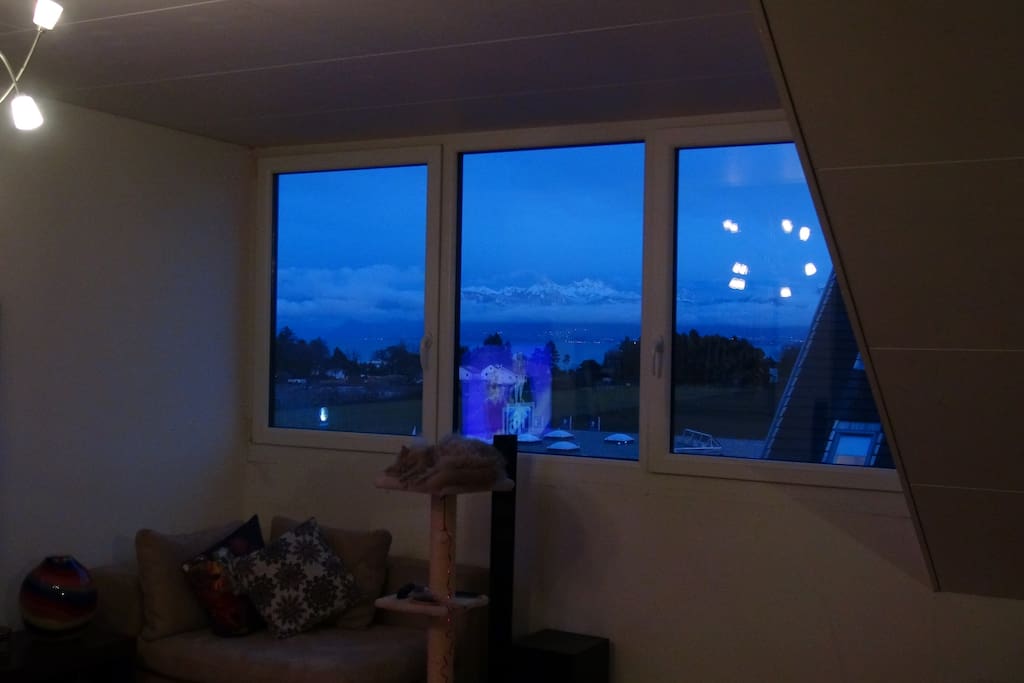 View from living room