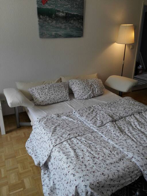 Ligne roset sleeping sofa