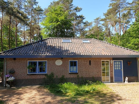 Popular Airbnb listing: Lovely house near woods and heath in Otterlo in Ede