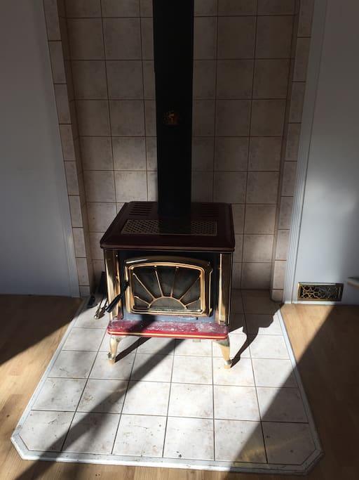 fireplace/stove