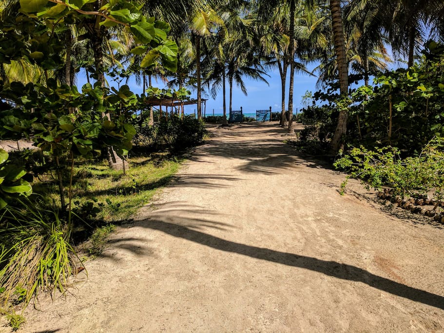 Entrance to the beach / Entrada para a praia