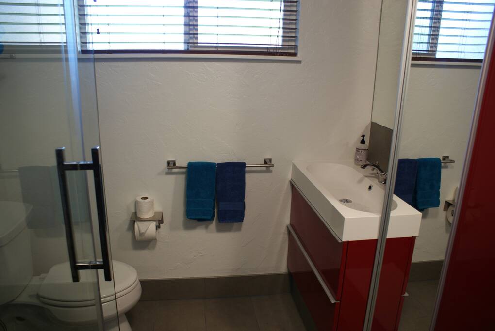 top of the line master bathroom with waterfall shower, and infinity drains