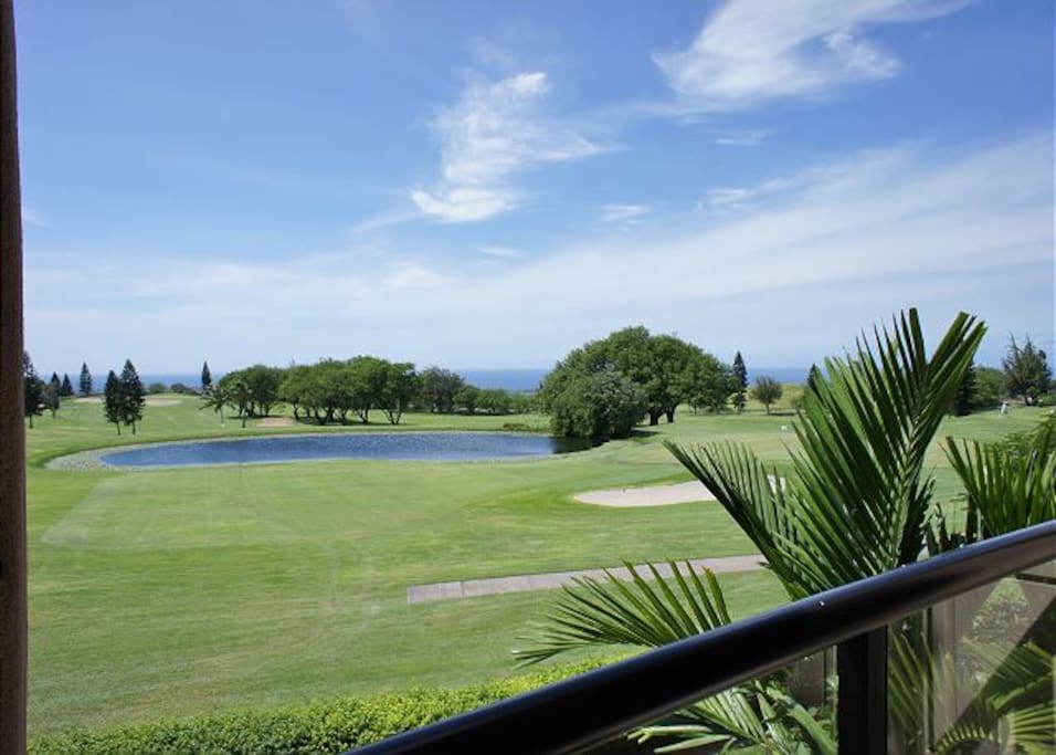 View from Lanai