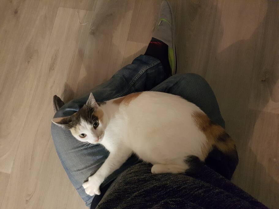 La locataire