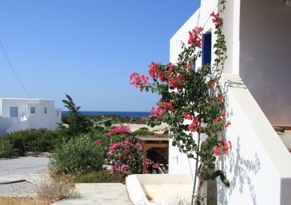 Close to the beach