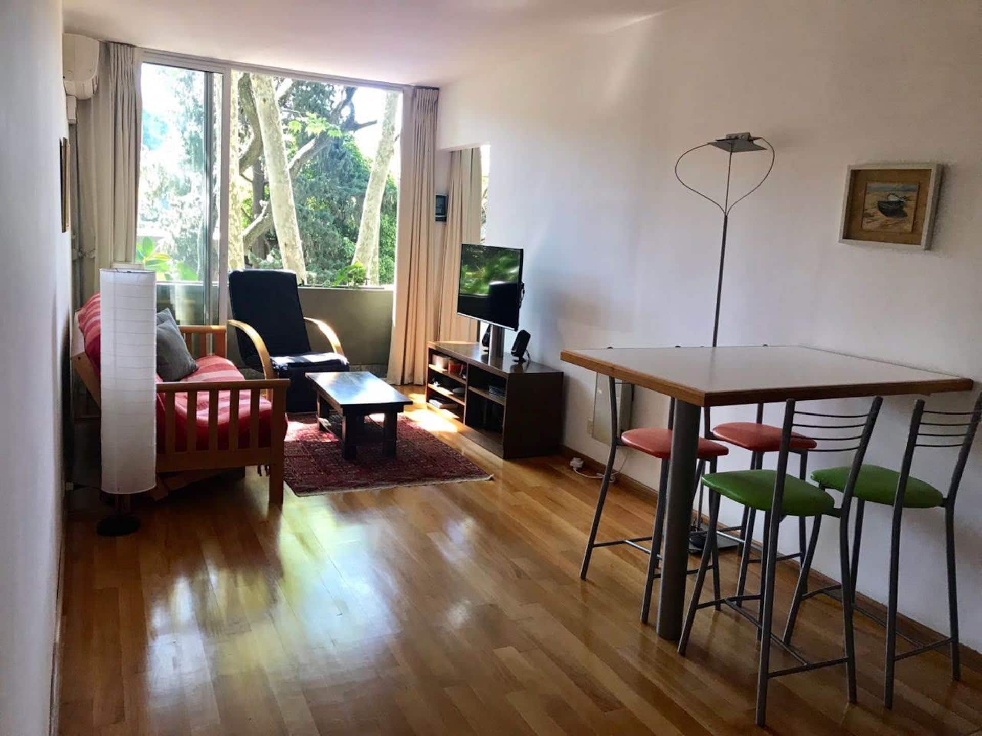 Entire bright apartment in Vicente López