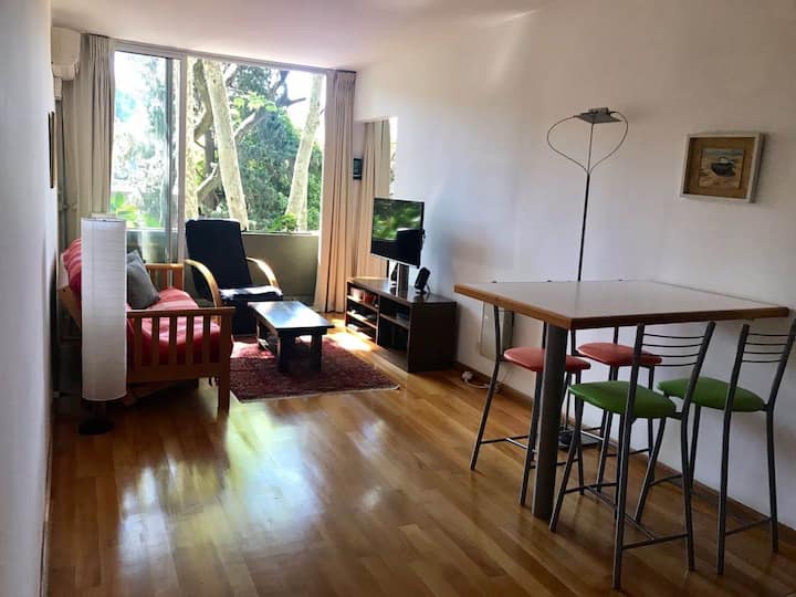 Apartamento de 1 quarto em Vicente López