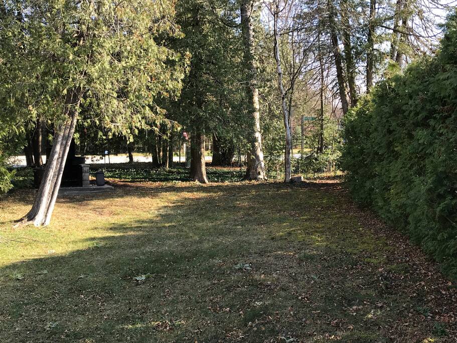 The yard will have a complete makeover for 2019 including a nicer fire pit