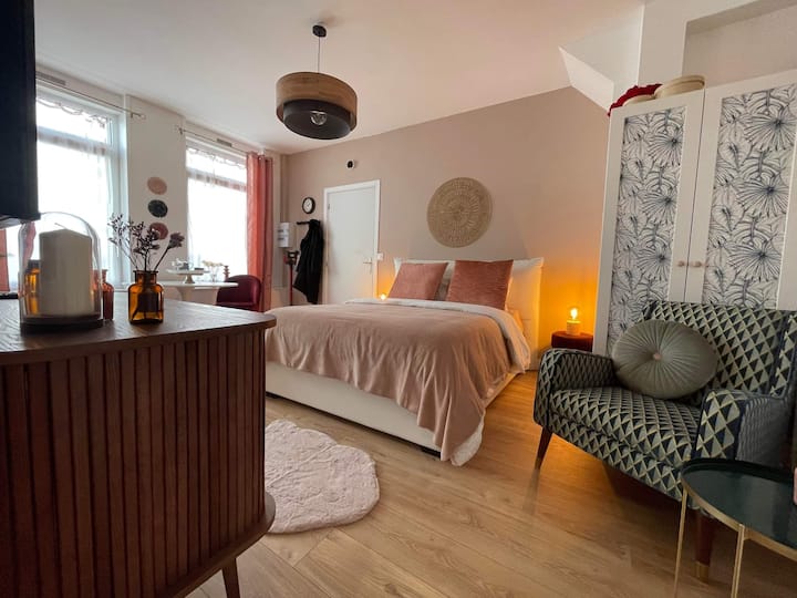 The Wonderful Apartments for Rent in Lille, HautsdeFrance, France