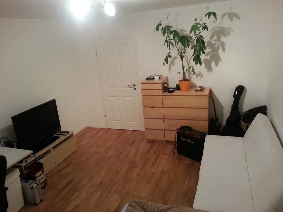 Sleeping/living room (bed view)