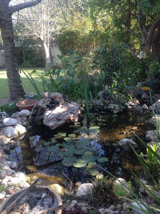 he pond where you can drink your coffee in the morning