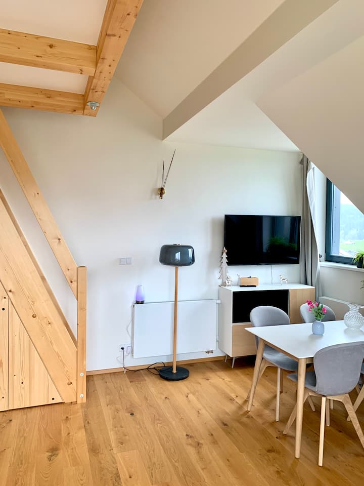 prostorný obývací pokoj se smart TV s netflixem , youtube atd.