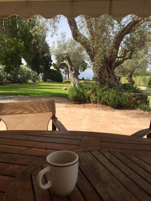 Imagine this as your morning view