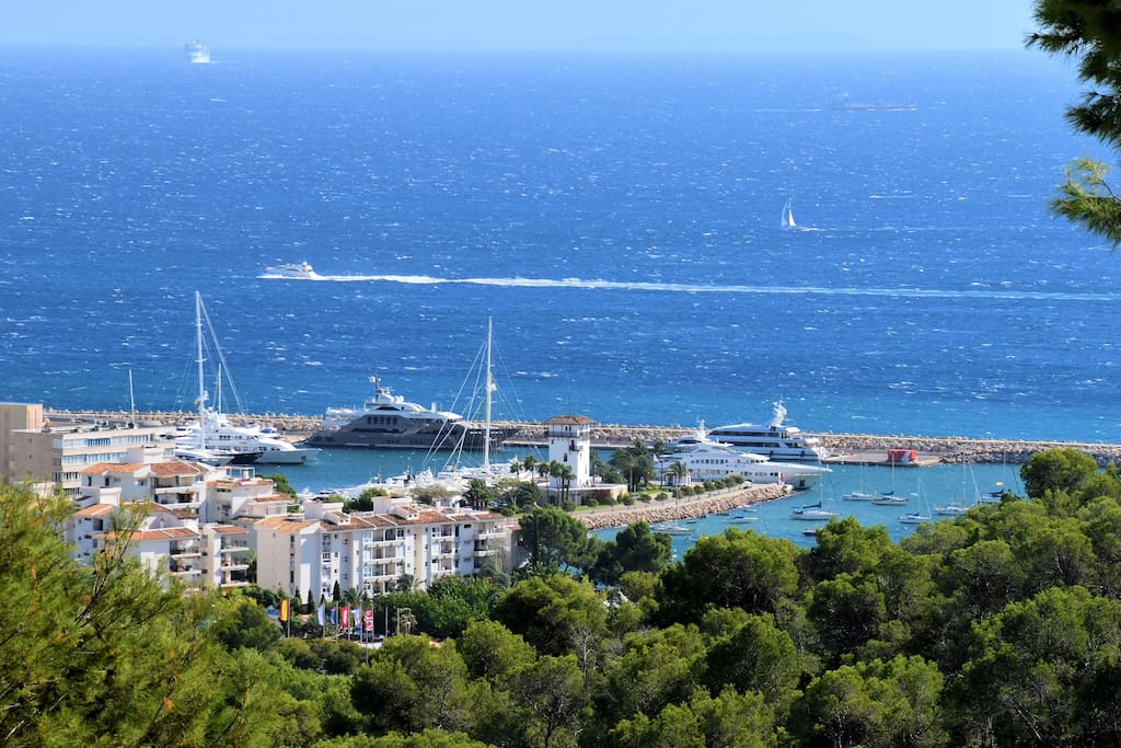 Blick auf Puerto Portals