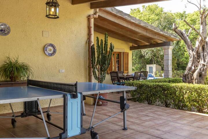 Alegre gallery image 5