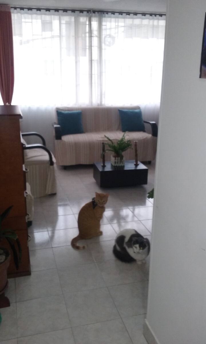 cundinamarca colombie airbnb