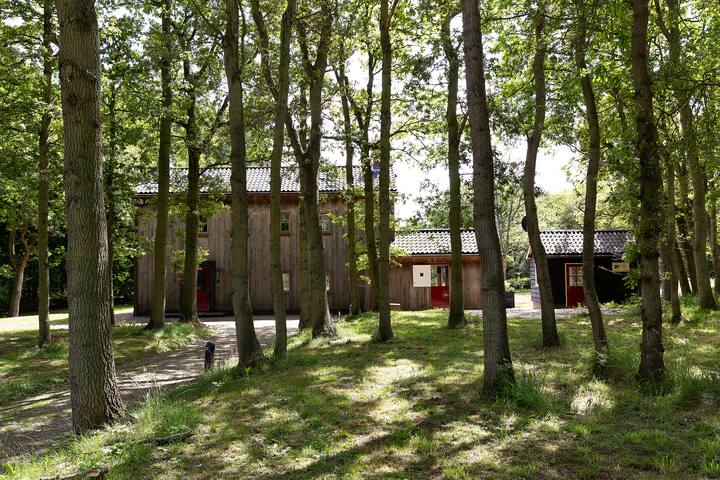 Alys Finest Accommodations managed Airbnb listing 3