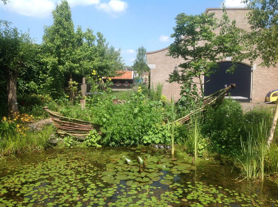 achtertuin met natuurlijke poel en div zonneterrasjes