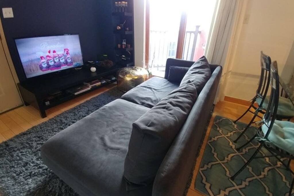 Living Room Sofa, TV and Balcony