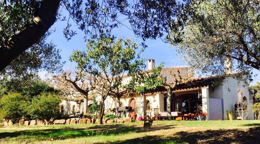 El Maset de Cap de Gall gallery image 2