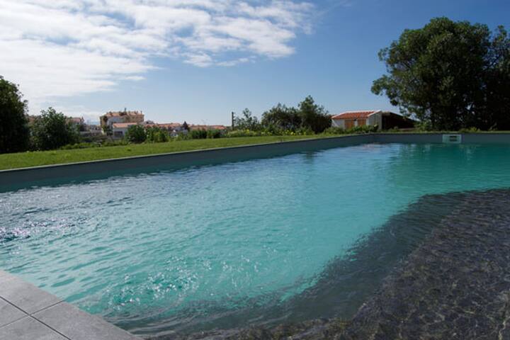 Elemental Ericeira – Surf Villa – garden & pool gallery image 2