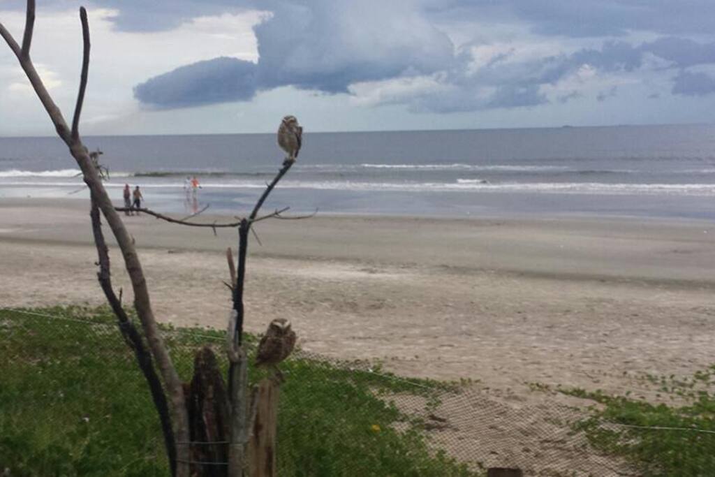 Praia em frente ao prédio. Praia tranquila.