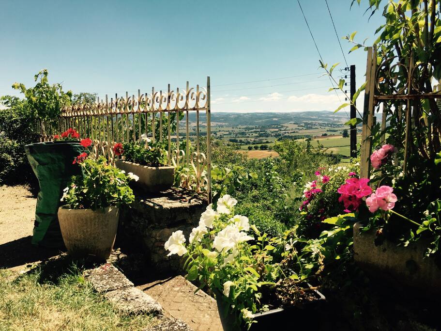 Vue de la terrasse