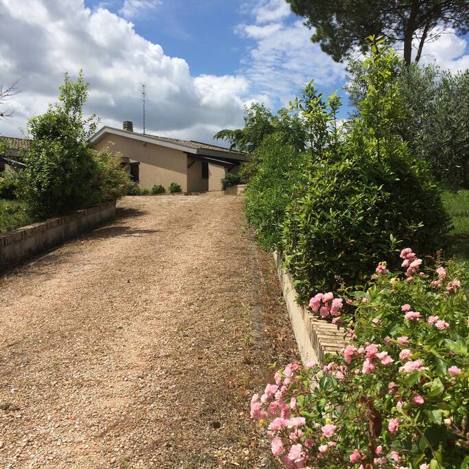 Viale di ingresso
