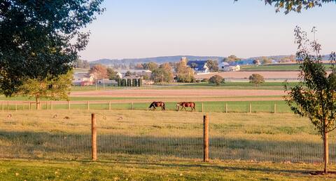 Stunning Home with Unbelievable Farmland Views