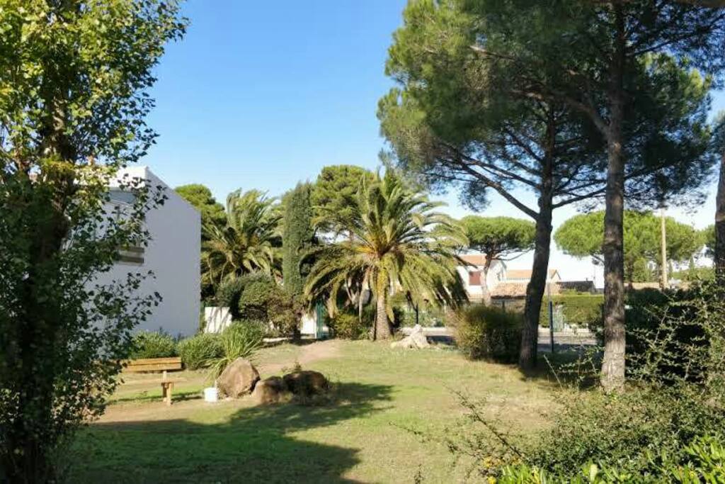 vue de la fenêtre de la chambre