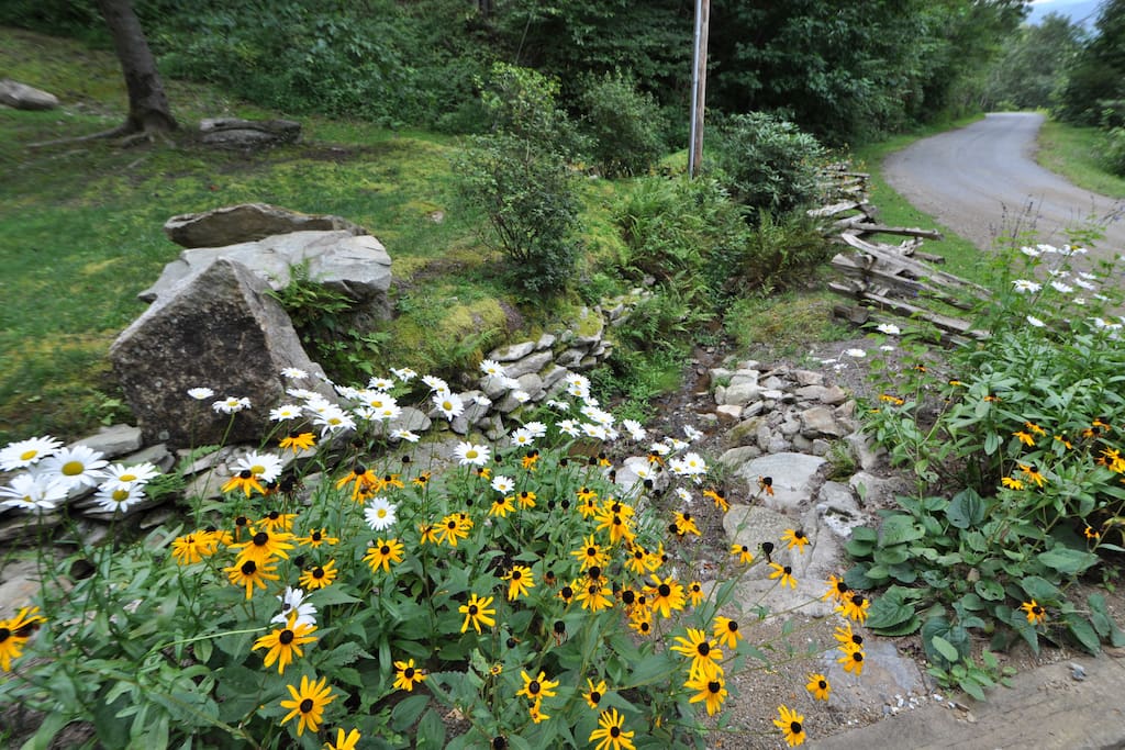 Road-front flower garden in spring