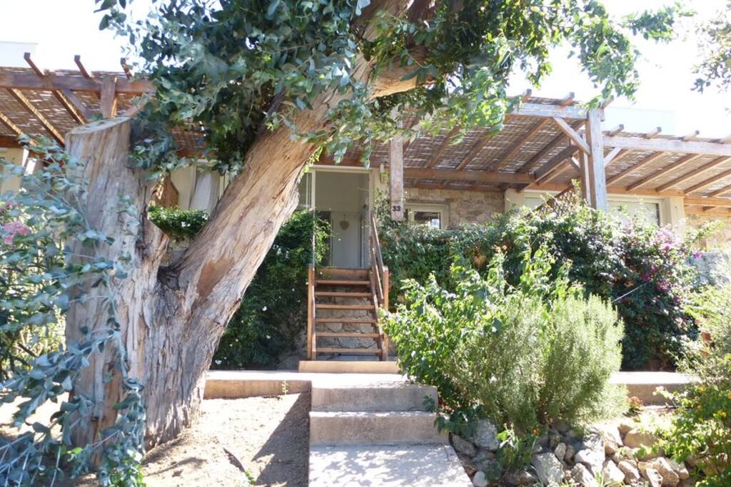 second of 6 row houses entry (by front terrace)