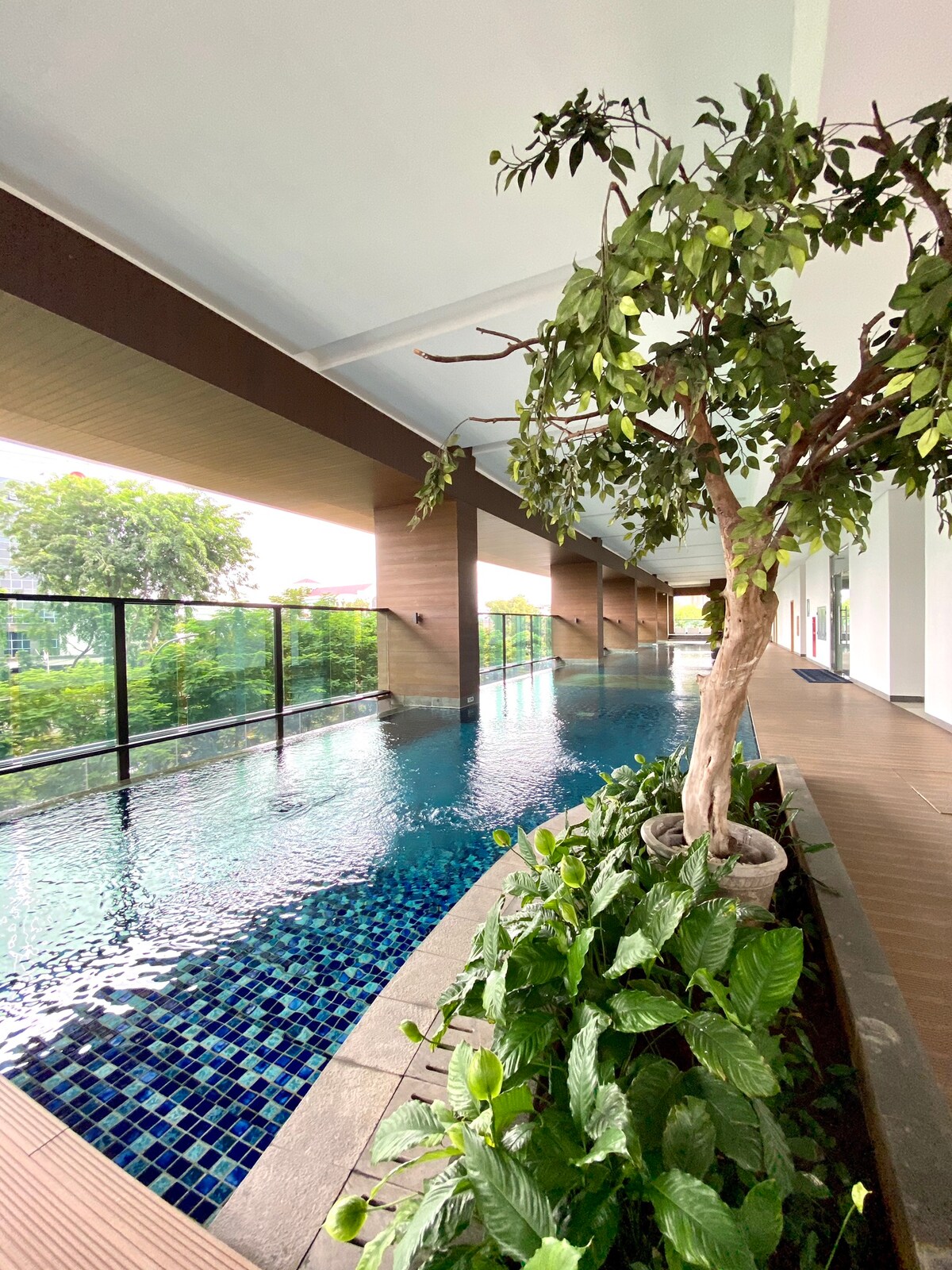 A modern swimming pool area features water bordered by lush greenery, including a decorative tree and various plants. Floor-to-ceiling windows allow natural light to fill the space, and the calming blue tiles of the pool create an inviting atmosphere for relaxation.