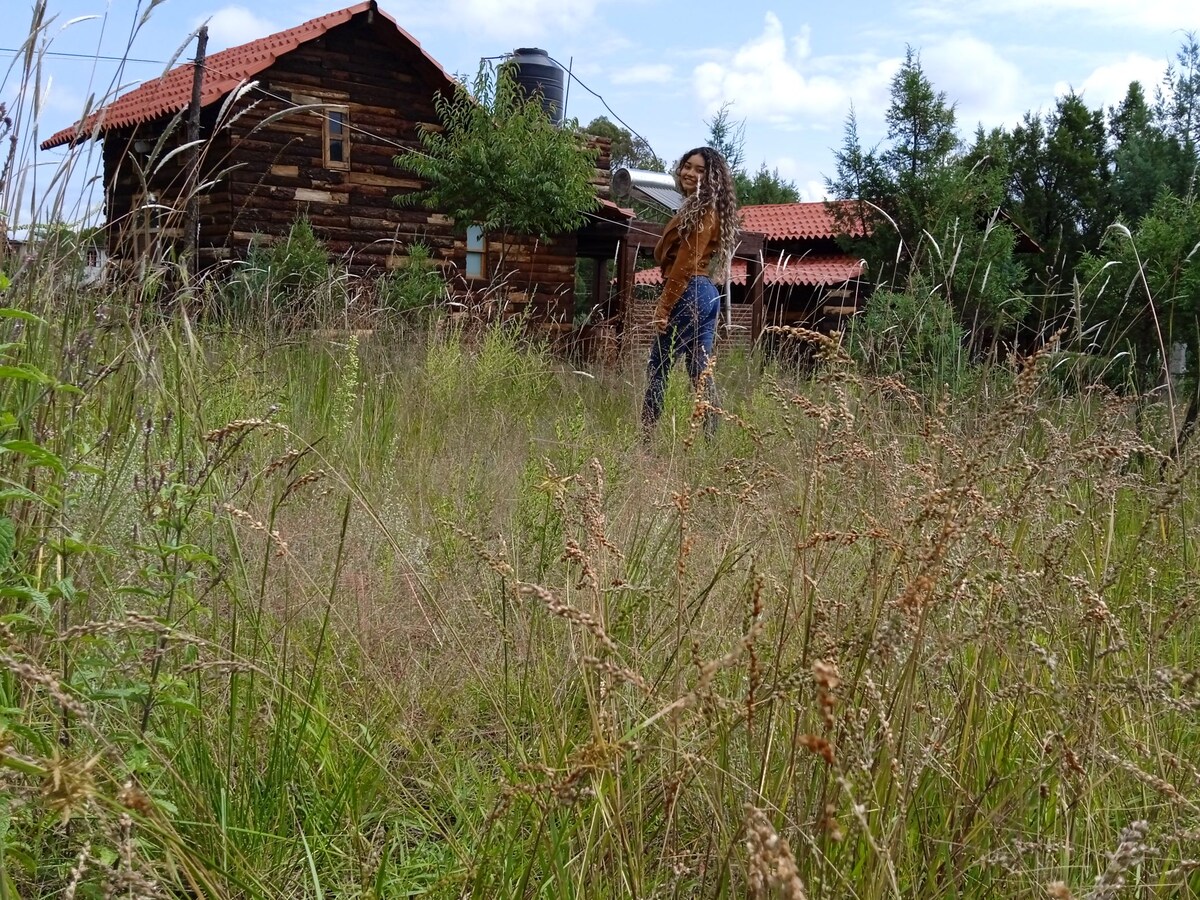 A cozy log cabin is set within a field of tall grasses and wildflowers. A person is seen walking through the grassy area, with the cabin's rustic structure and red roof visible in the background. The sky is partially cloudy, adding a natural ambiance.