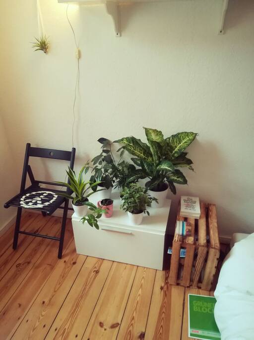 My little garden for fresh air and good vibes.