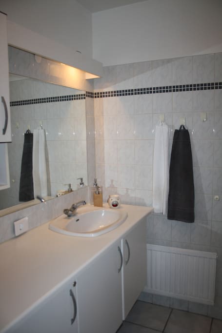 A bathroom with a bathtub with a shower