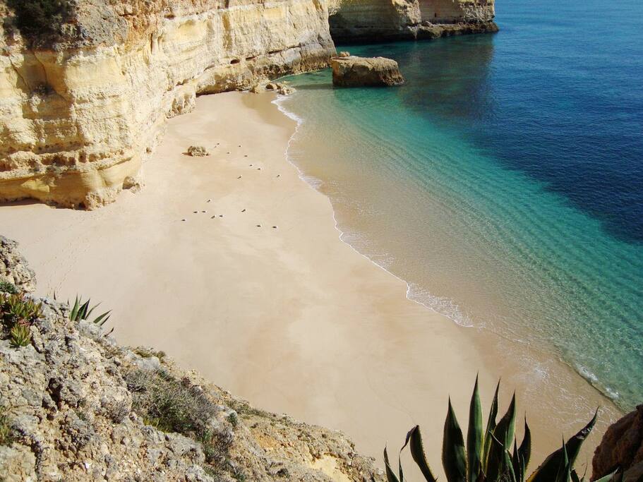 Nearby Beach