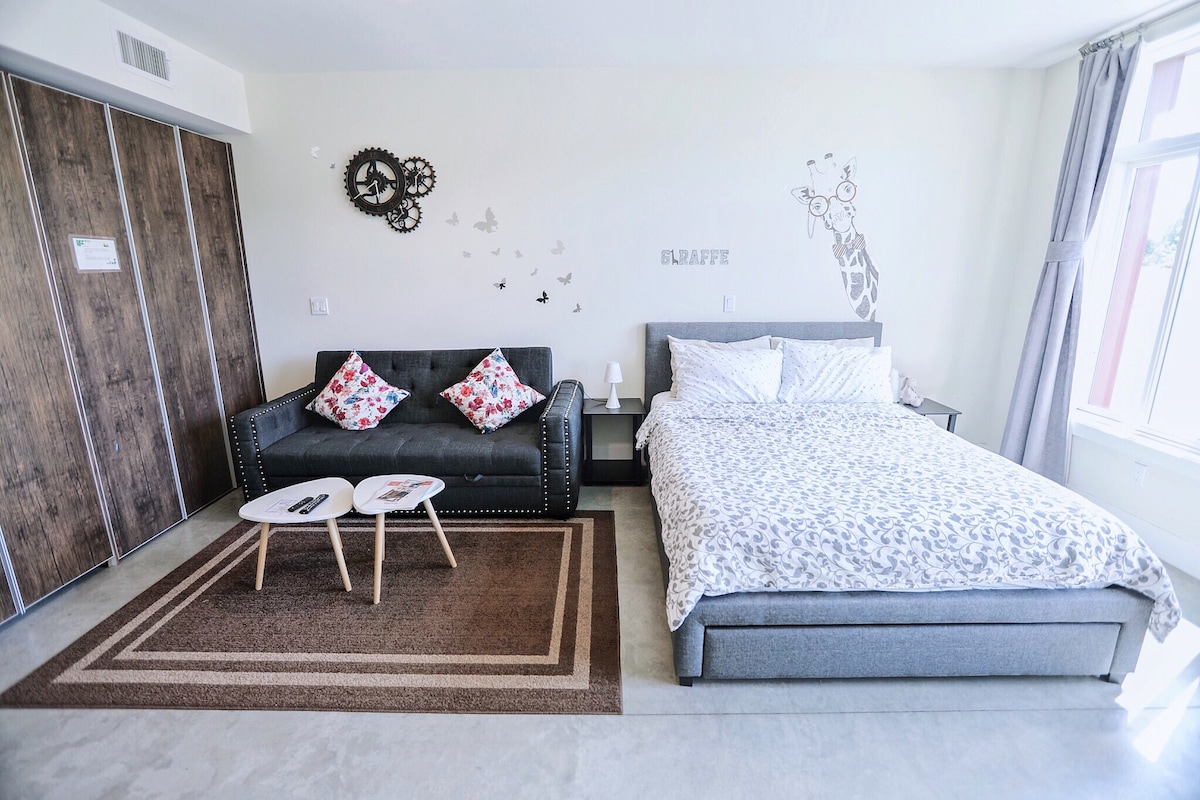 A modern studio layout features a comfortable queen-size bed with patterned bedding beside a cozy sofa adorned with decorative pillows. Two small coffee tables are positioned on a textured rug, and minimalist wall décor enhances the room's ambiance. Natural light enters through large windows.