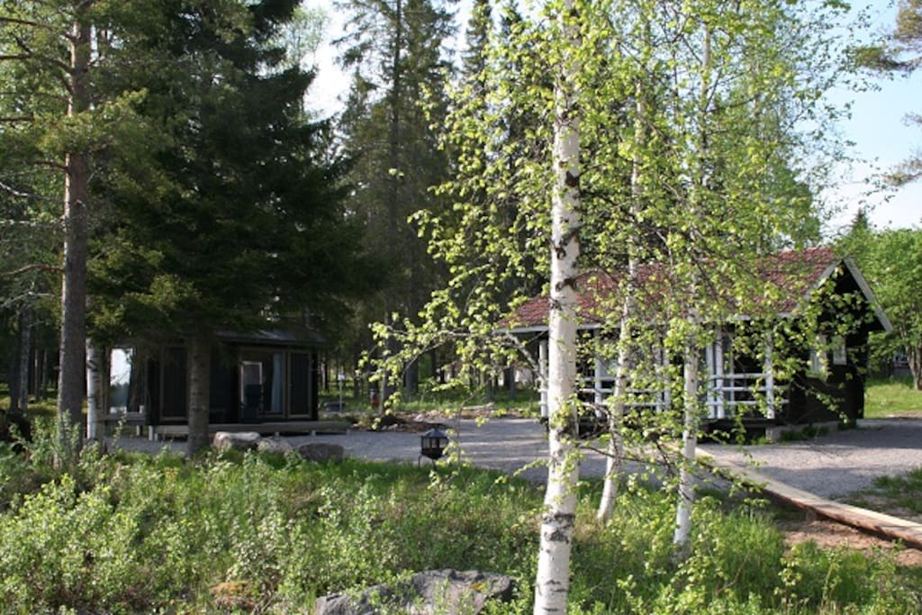 The cottage and the sauna