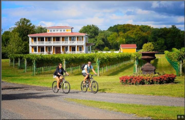 Vineyard peace and delight Merlot Cottage