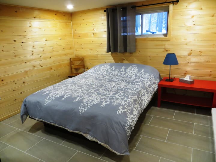 Bedroom 1 in the basement